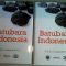 Buku Batubara Indonesia Karya Prof. Dr. Ir. Irwandy Arif, M. Sc